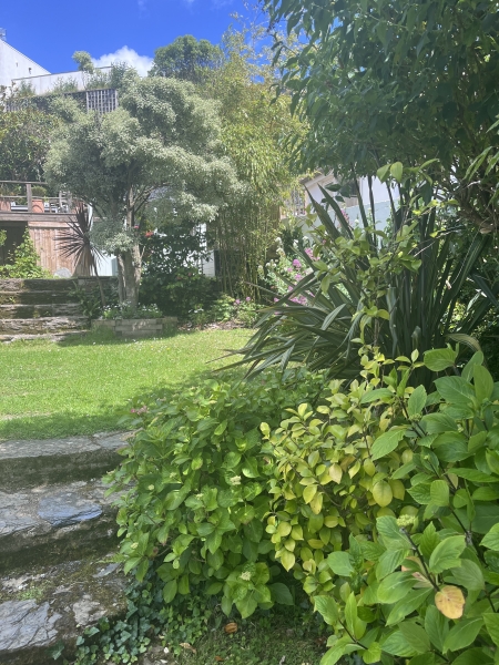 Polruan Gardens